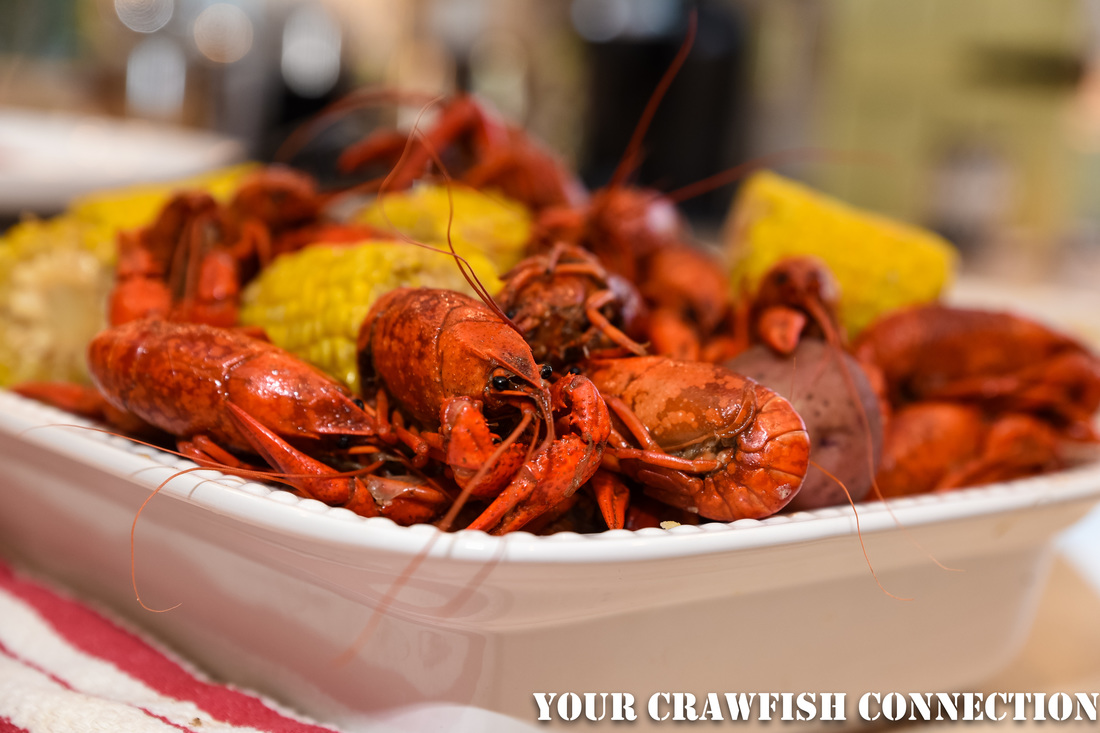 YOUR Crawfish Connection
